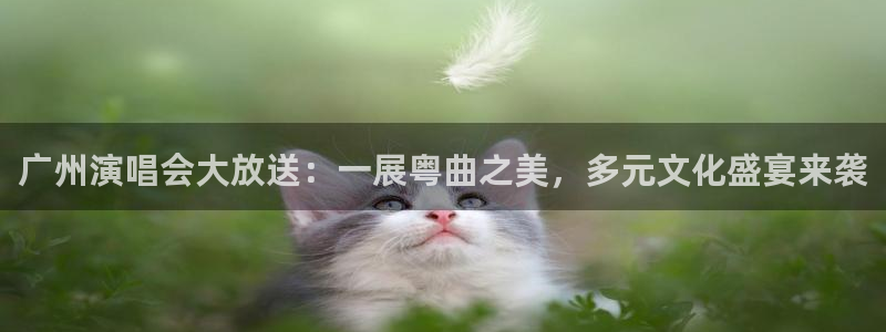 优游国际官网下载：广州演唱会大放送：一展粤曲之美，多元文化盛宴来袭