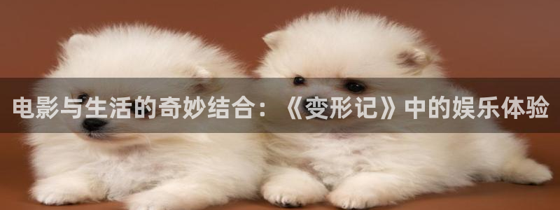 优游国际官网客服电话：电影与生活的奇妙结合：《变形记》中的娱乐体验