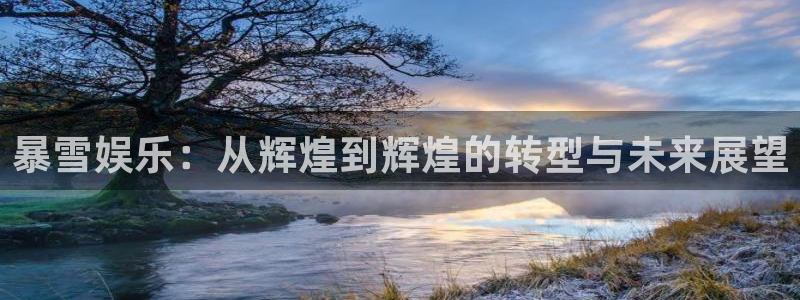 优游国际官网下载：暴雪娱乐：从辉煌到辉煌的转型与未来展望