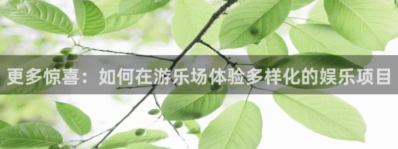 优游国际官网客服电话：更多惊喜：如何在游乐场体验多样化的娱乐项目