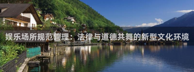 优游国际官网客服电话：娱乐场所规范管理：法律与道德共舞的新型文化环境